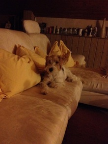 Maggy8 Maggy8