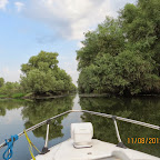 IMG_7473.JPG