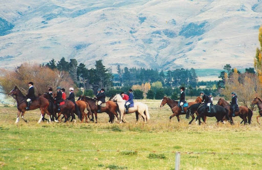 Field at Middlemarch - Victoria Watt in centre