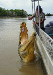 2011 Australia+Thailand