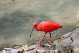 IMG_8368.jpg