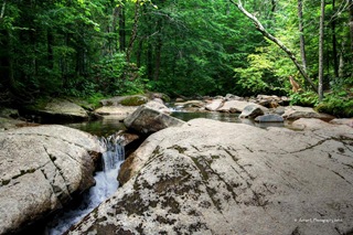 Nature Nature