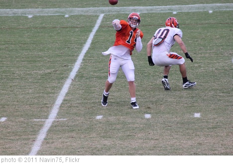 'QB Andy Dalton' photo (c) 2011, Navin75 - license: http://creativecommons.org/licenses/by-sa/2.0/