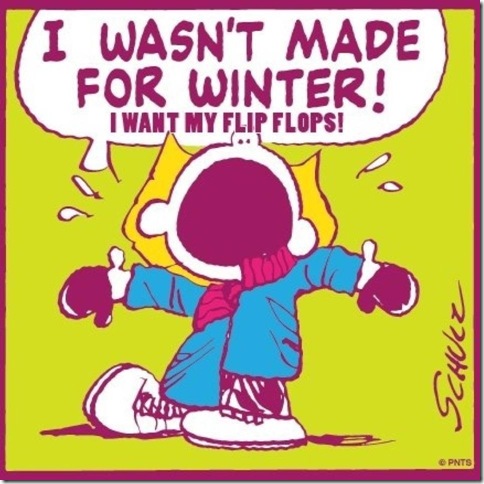 NotMadeForWinter