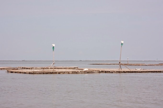 2014_0913_095126 2014_0913_095126