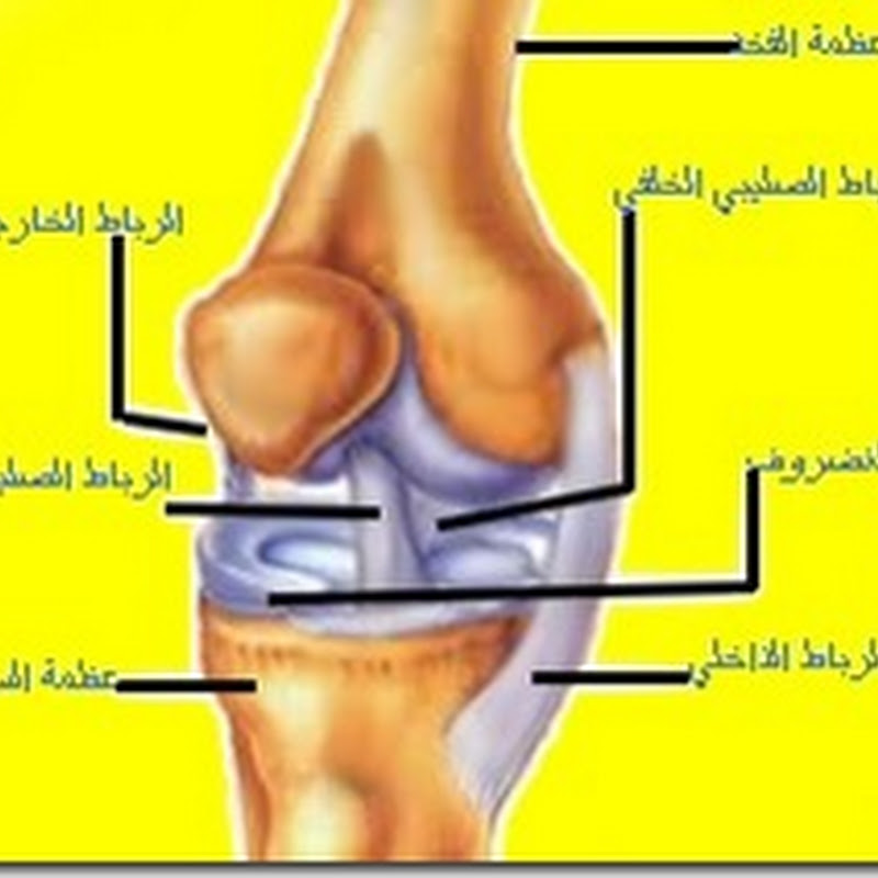 اصابات الملاعب: اربطة الركبة
