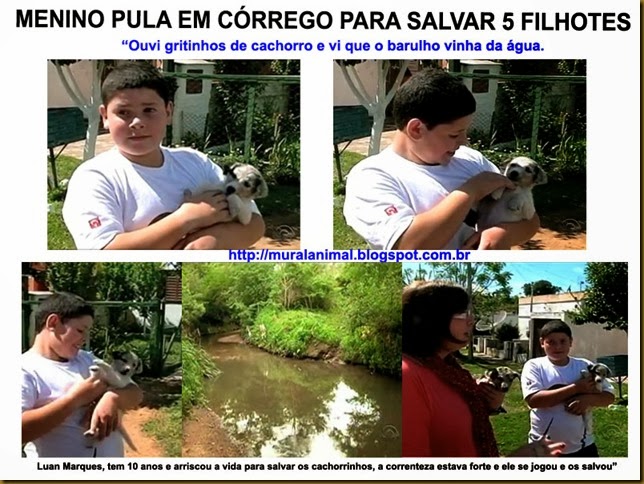 filhotes-corrego filhotes-corrego