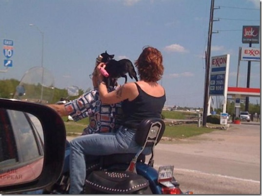 viral-picdump-pics-83b4b3