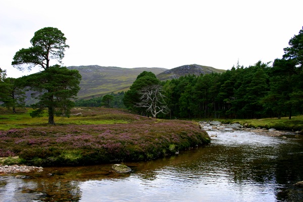 [IMG_96072.jpg]