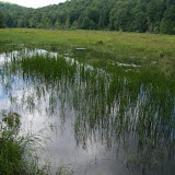 DSC09230.JPG