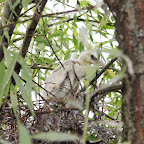 IMG_5941.JPG
