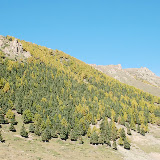 Tianshan - Versant sud boisé bicolore