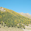 Tianshan - Versant sud boisé bicolore