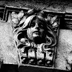 IMG_8639.jpg