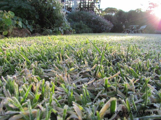[IMG_3289a%255B3%255D.jpg]