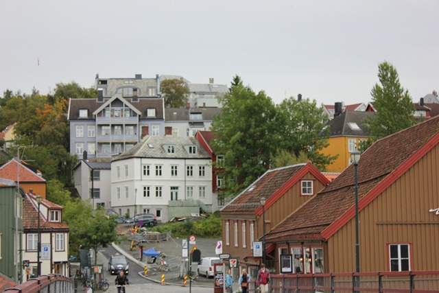 IMG_2604 IMG_2604