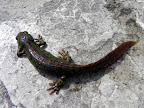 DSCN3763.JPG