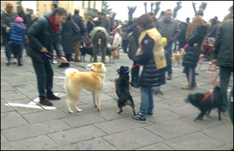 Foto0022 Foto0022