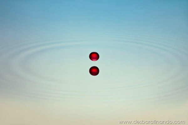liquid-drop-art-gotas-caindo-foto-velocidade-hora-certa-desbaratinando (122) liquid-drop-art-gotas-caindo-foto-velocidade-hora-certa-desbaratinando (122)