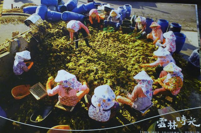 酸菜的故鄉