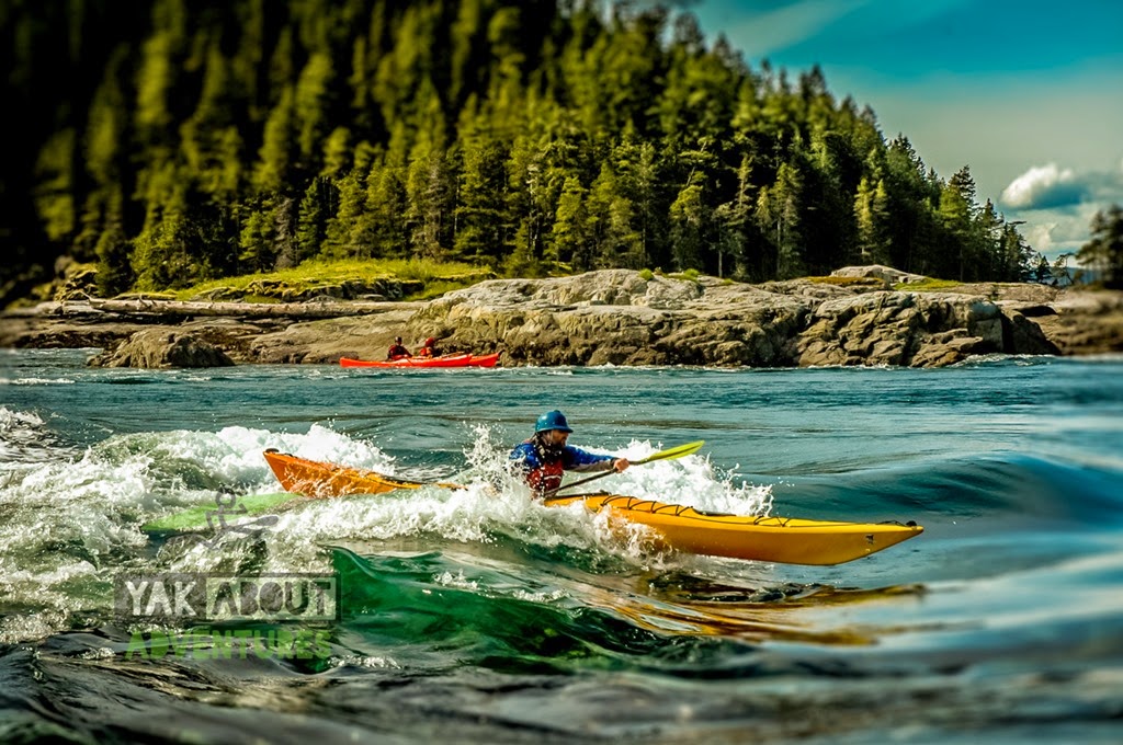 [%2528c%2529Worldwildadventures-3796%255B3%255D.jpg]