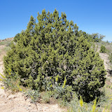 DSC00063.JPG
