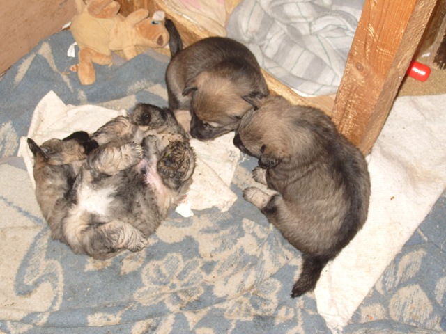 [bloggbilder%25202%2520344%255B2%255D.jpg]