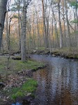 DSC03202_new.jpg