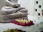 Offering flowers to new statue 1