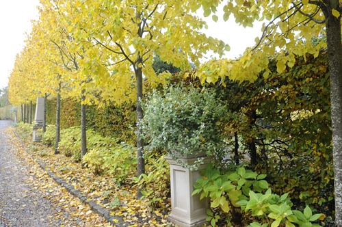 20111027_130414