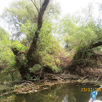 IMG_3432.JPG