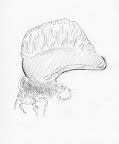 day026.jpg