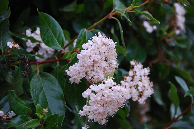 [DSC_0313%255B2%255D.jpg]