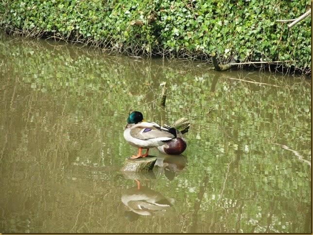 IMG_4119 IMG_4119