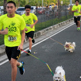 Pet Express Doggie Run 2012 Philippines. Jpg (62).JPG
