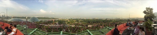 IMG_6572.jpg Panorama from the bar up the 'tree' at Gardens by the Bay