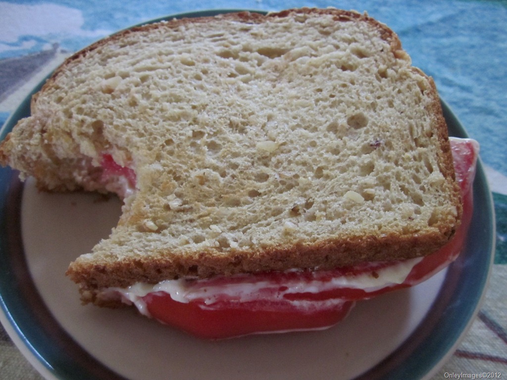 [tomato-sandwich-71%255B4%255D.jpg]