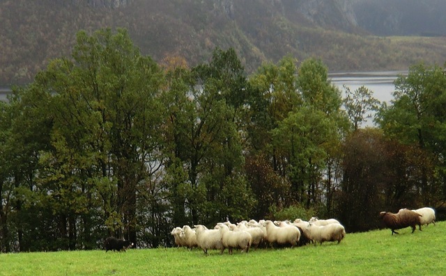 [oktober%25202011%2520012%255B3%255D.jpg]