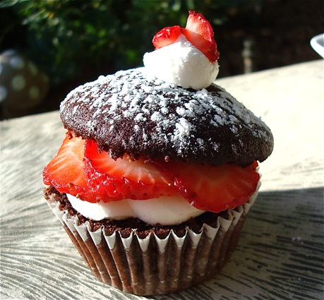 [Chocolate_Strawberry_Shortcake_Cupcakes%255B3%255D.jpg]