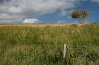Hillside