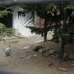 P1090700.JPG