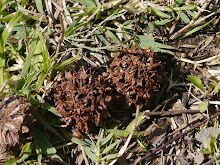 P1050070