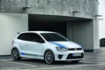 VW-Polo-R-WRC-11