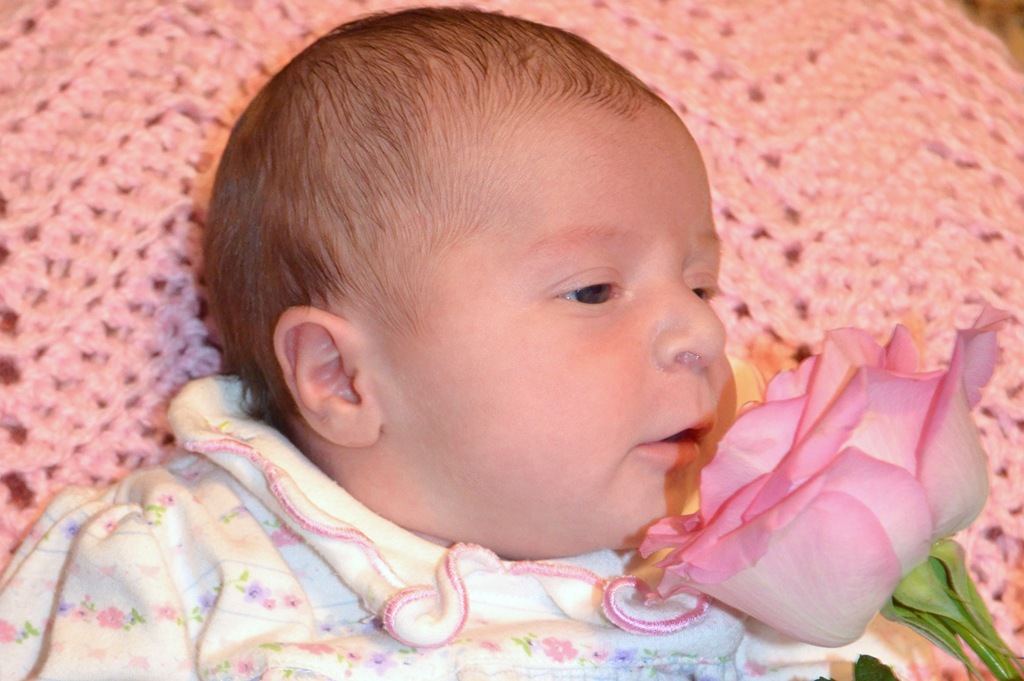 [DSC_3800%255B7%255D.jpg]