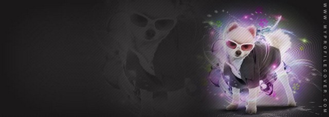 beautiful-facebook-timeline-cover-07