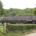 DSC07034.JPG
