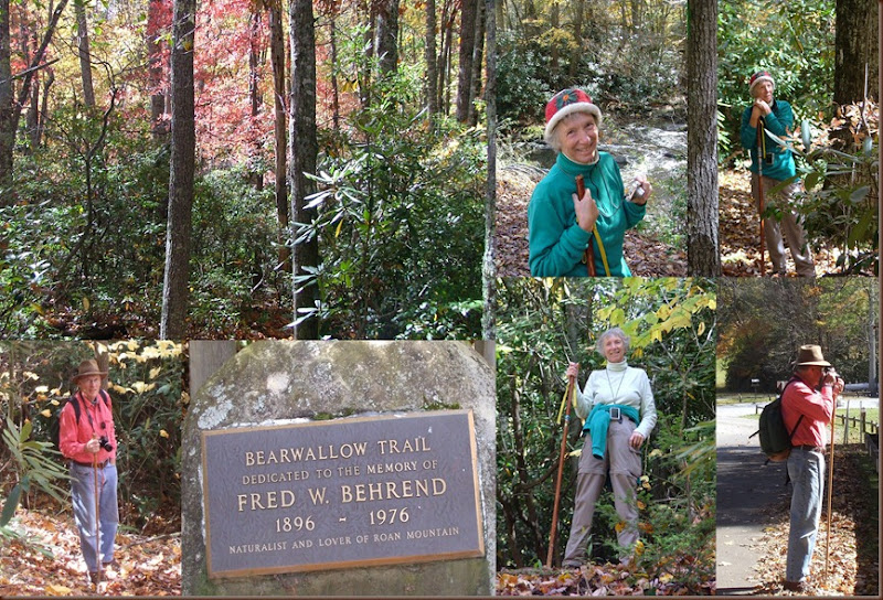 HIKING AT ROAN MOUNTAIN HIKING AT ROAN MOUNTAIN