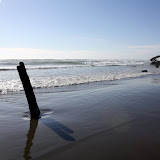 IMG_8338.JPG