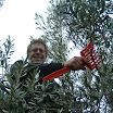 Boven in de boom