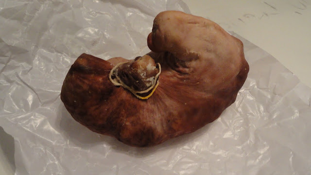 DSC06624.JPG